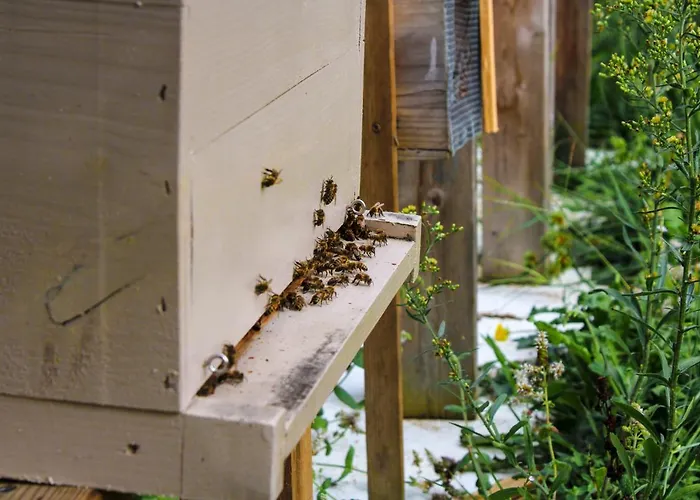 Bed & Breakfast Maison Balaguera 3*